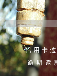 信用卡逾期還款必須本人去柜臺嗎-信用卡逾期還款必須本人去柜臺嗎怎么辦