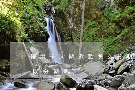 信用卡逾期還款怎么分期(信用卡逾期了還可以分期嗎)