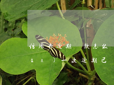 信用卡逾期還款怎么刪除(信用卡出現(xiàn)一次逾期已經(jīng)還了怎么消除逾期)