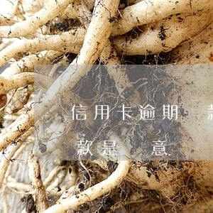 信用卡逾期還款怎么抗辯(信用卡逾期小額還款是惡意嗎)