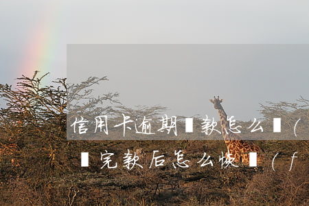 信用卡逾期還款怎么補(bǔ)(信用卡逾期還完款后怎么恢復(fù)信用)