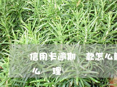信用卡逾期還款怎么解決(信用卡欠款逾期怎么處理)