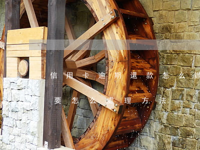 信用卡逾期還款怎么辦(信用卡逾期了還不上要怎么處理方法)
