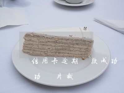 信用卡逾期還款成功圖片(信用卡逾期還款成功圖片截圖)