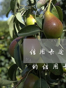信用卡逾期還款手續(xù)費-逾期還完的信用卡還有年費嗎