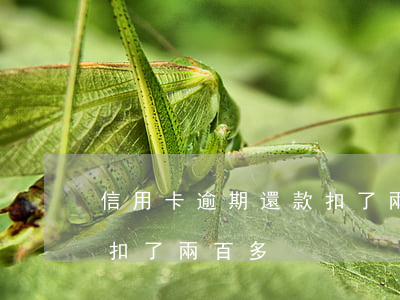 信用卡逾期還款扣了兩百多(信用卡逾期還款扣了兩百多)