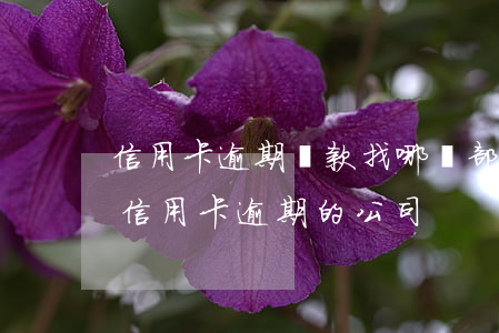 信用卡逾期還款找哪個部門(有沒有專門處理信用卡逾期的公司)
