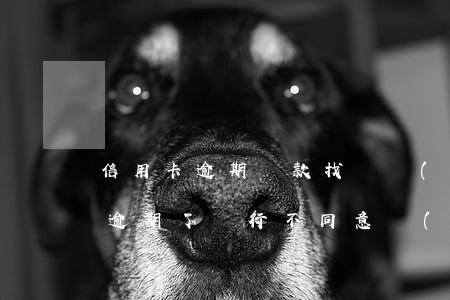 信用卡逾期還款找誰協(xié)商(信用卡逾期了銀行不同意協(xié)商還款怎么辦)