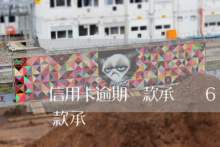 信用卡逾期還款承諾書6(信用卡逾期簽了還款承諾書)