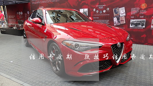 信用卡逾期還款技巧(信用卡逾期了該怎么辦)