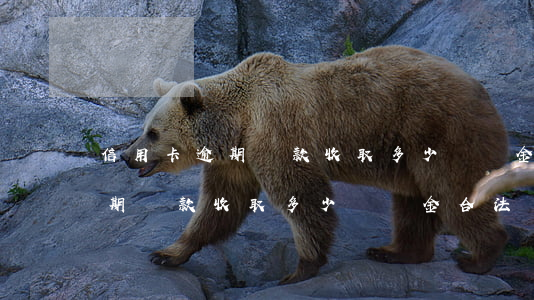 信用卡逾期還款收取多少違約金-信用卡逾期還款收取多少違約金合法