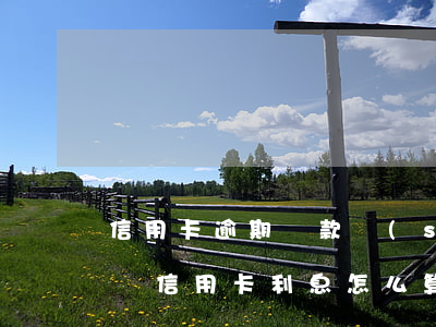 信用卡逾期還款數(shù)怎么算的(逾期還信用卡利息怎么算)