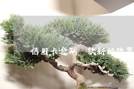 信用卡逾期還款新的政策是什么(“信用卡逾期”)