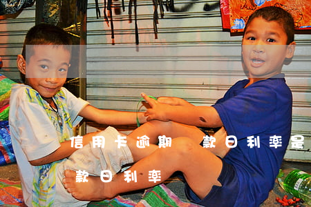 信用卡逾期還款日利率是多少（信用卡逾期還款日利率）