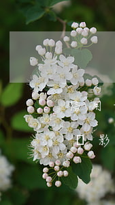 信用卡逾期還款是否影響房貸(銀行貸款逾期會影響信用卡嗎)