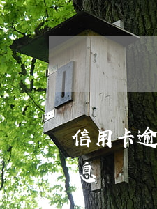 信用卡逾期還款是如何罰息的(逾期還款罰利息)