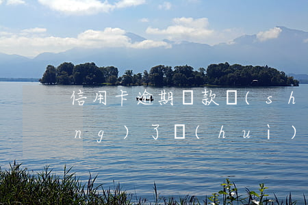 信用卡逾期還款時(shí)間長(zhǎng)了會(huì)怎樣 在信用卡寬限期還款算逾期嗎