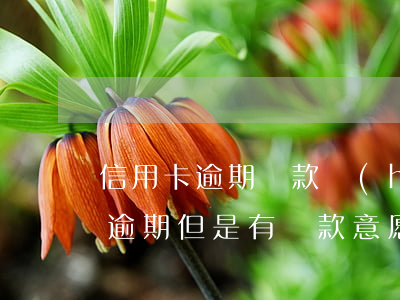信用卡逾期還款會(huì)上訴嗎(信用卡逾期但是有還款意愿還會(huì)起訴嗎)