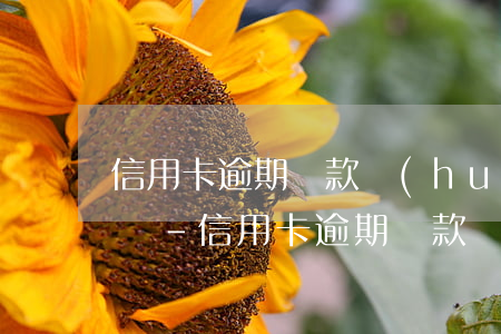 信用卡逾期還款會(huì)坐牢嗎怎么處罰-信用卡逾期還款會(huì)坐牢嗎怎么處罰的