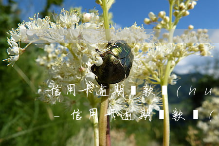 信用卡逾期還款會(huì)影響額度嗎6-信用卡逾期還款會(huì)影響額度嗎6萬(wàn)