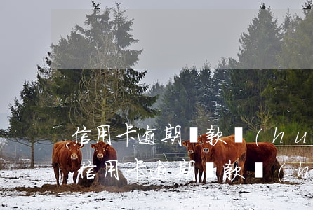 信用卡逾期還款 會(huì)有什么后果-信用卡逾期還款會(huì)有什么后果