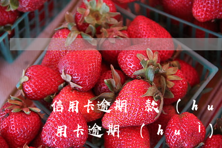 信用卡逾期還款會(huì)有啥影響(還信用卡逾期會(huì)有什么后果)