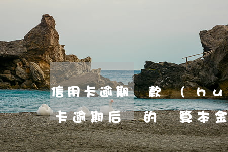 信用卡逾期還款會(huì)算利息嗎(信用卡逾期后還的錢算本金還是利息)