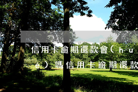 信用卡逾期還款會(huì)被凍結(jié)嗎(信用卡逾期還款會(huì)被凍結(jié)嗎微信)