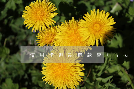 信用卡逾期還款會(huì)被起訴嗎