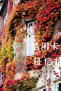 信用卡逾期還款會(huì)計(jì)入征信(征信有逾期已還清可以辦信用卡嗎)