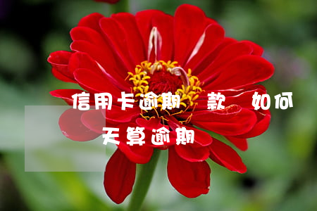 信用卡逾期還款會如何計算(還信用卡費用晚幾天算逾期)