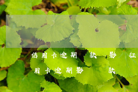信用卡逾期還款會影響征信么(個人征信有信用卡逾期影響貸款嗎)