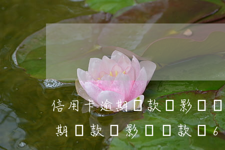 信用卡逾期還款會影響貸款嗎6-信用卡逾期還款會影響貸款嗎60萬