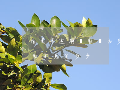 信用卡逾期還款會扣多少利息嗎(銀行逾期還款利息是多少)
