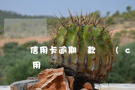 信用卡逾期還款會產(chǎn)生哪些費用