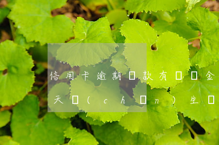 信用卡逾期還款有滯納金嗎(忘記還信用卡一天產(chǎn)生滯納金)
