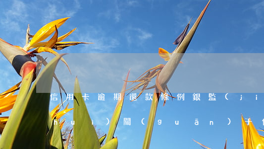信用卡逾期還款條例(銀監(jiān)會(huì)關(guān)于信用卡逾期還款的規(guī)定)