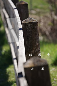 信用卡逾期還款檢討書(信用卡逾期還款失敗退回)
