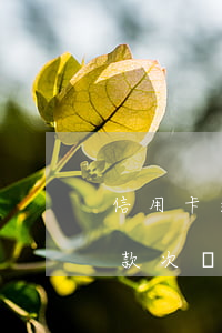信用卡逾期還款次數(shù)多(信用卡還款次數(shù)超限了怎么辦)