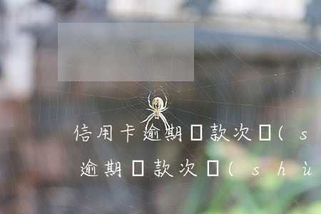 信用卡逾期還款次數(shù)計算(信用卡逾期還款次數(shù)計算)