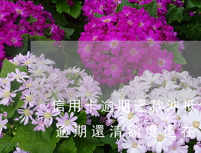 信用卡逾期還款沖抵(信用卡嚴(yán)重逾期還清額度還在)