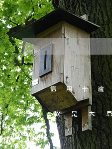 信用卡逾期還款沖抵順序(信用卡還款日前還款是大忌)