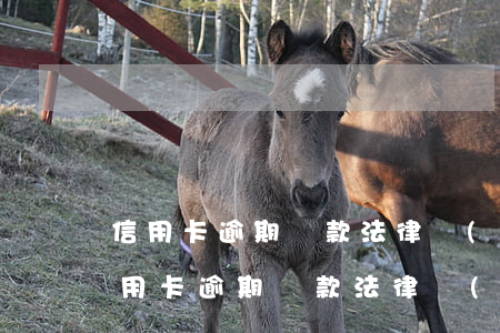 信用卡逾期還款法律規(guī)定多久（信用卡逾期還款法律規(guī)定）