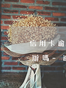 信用卡逾期還款注銷(xiāo)后還能再辦嗎-逾期的信用卡注銷(xiāo)了