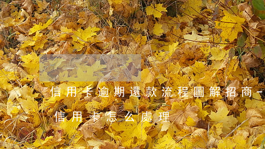 信用卡逾期還款流程圖解招商-逾期還清的信用卡怎么處理