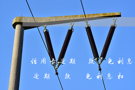 信用卡逾期還款減免利息和違約金-信用卡逾期還款減免利息和違約金的區(qū)別