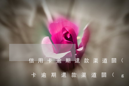 信用卡逾期還款渠道關(guān)閉(信用卡逾期還款渠道關(guān)閉)