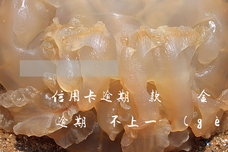 信用卡逾期還款滯納金嗎(信用卡19000逾期還不上,一個(gè)月滯納金多少)