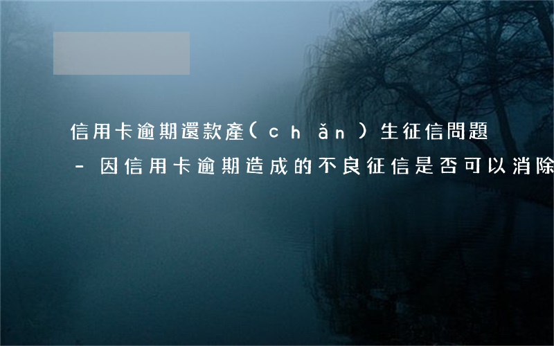 信用卡逾期還款產(chǎn)生征信問題-因信用卡逾期造成的不良征信是否可以消除