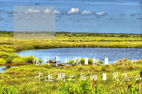 信用卡逾期還款產(chǎn)生費用(信用卡逾期之后的費用怎么收)
